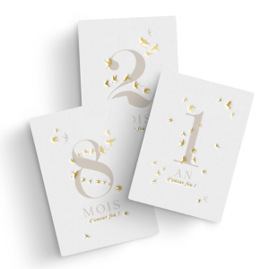 Zakuw – Cartes étapes HIRONDELLES