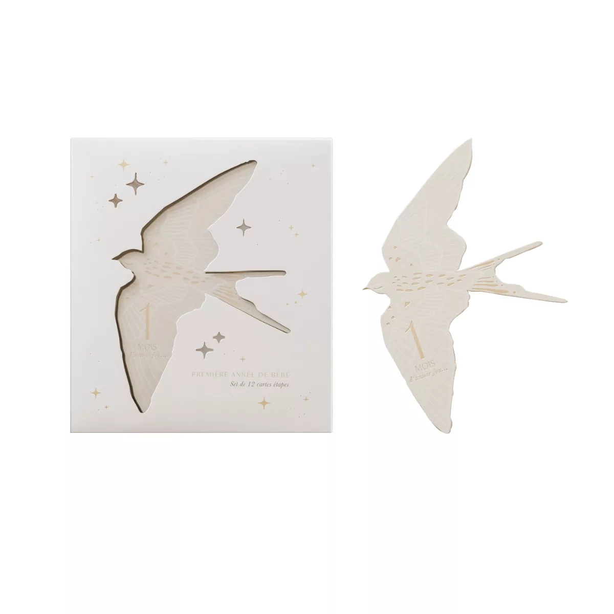 Zakuw – Cartes étapes birds