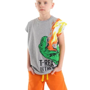 Ensemble 2 pièces garçon – T-shirt imprimé dinosaure et short à poches