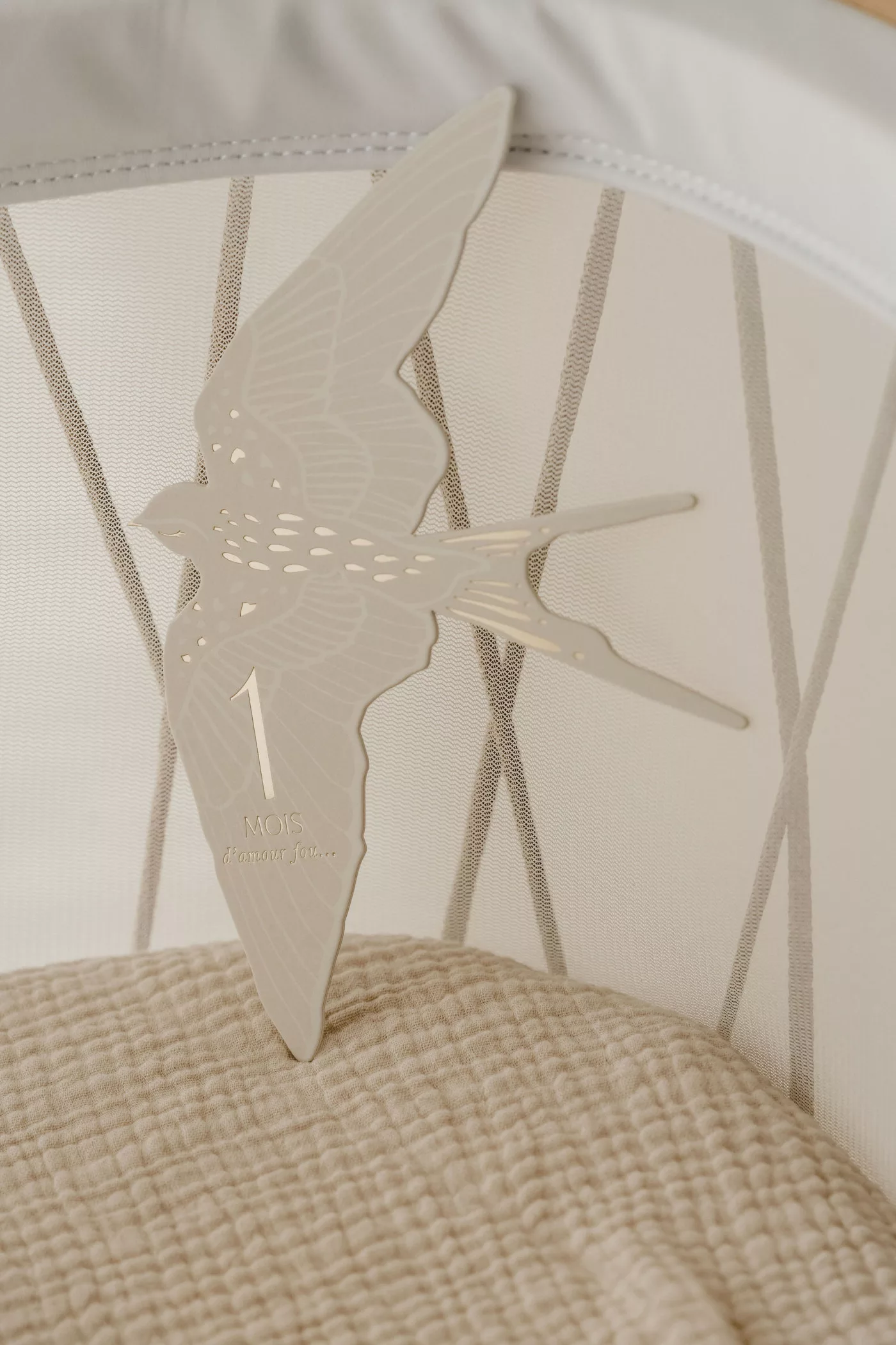 Zakuw – Cartes étapes birds – Image 4