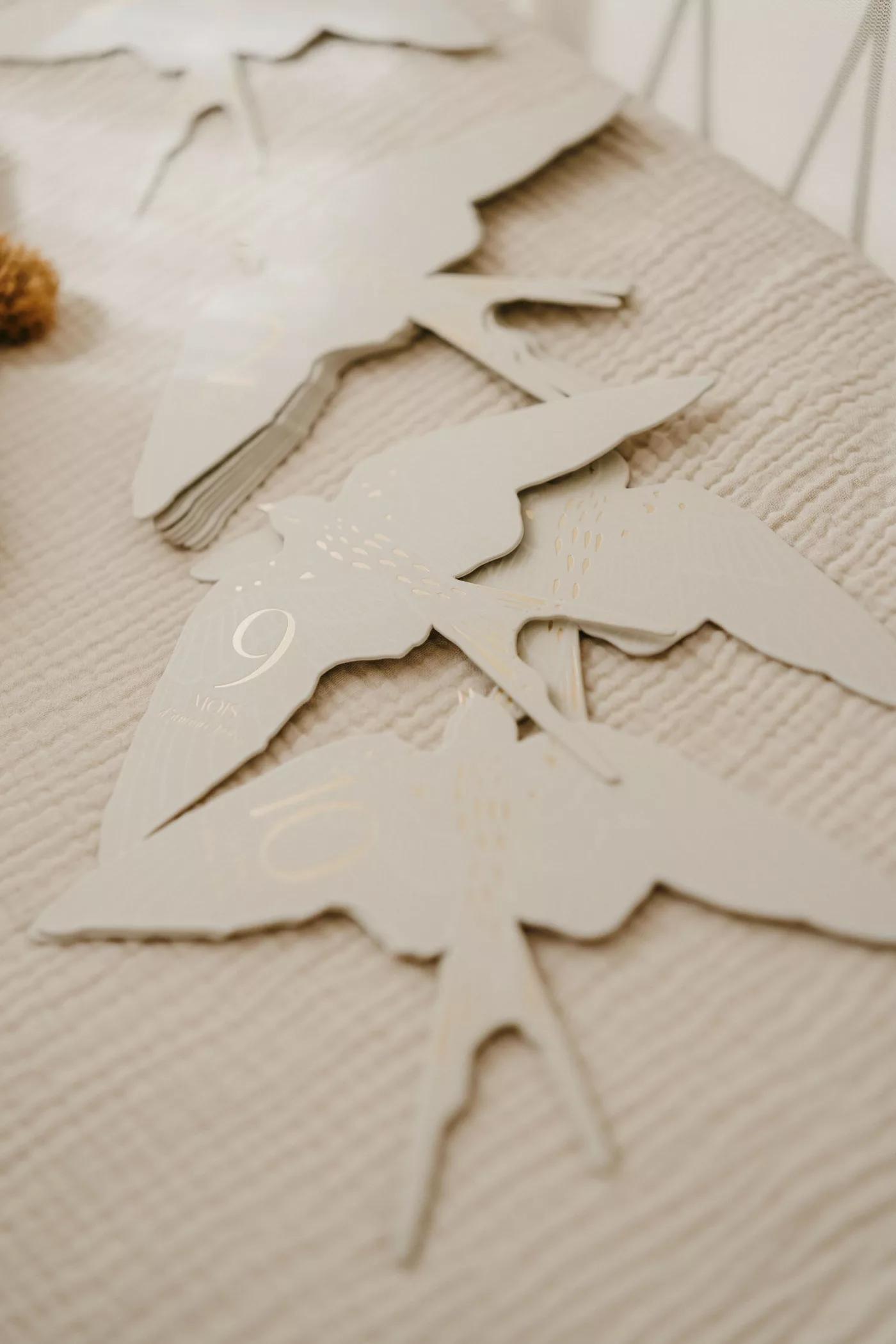 Zakuw – Cartes étapes birds – Image 3